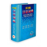 多功能汉语词典（精）