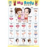 MY BODY